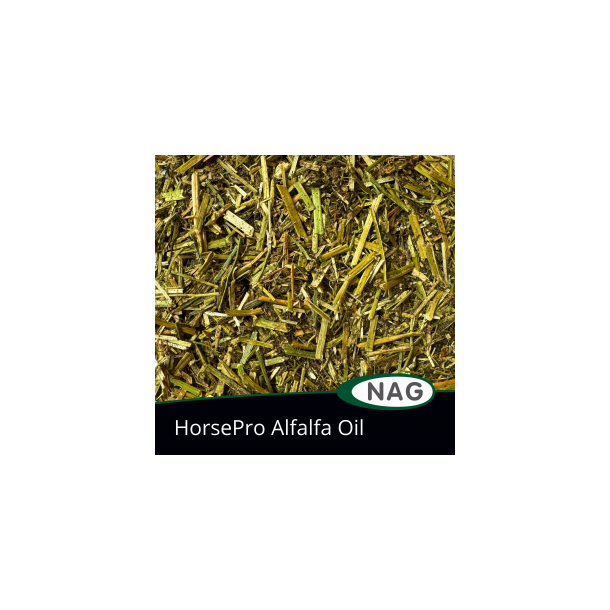 HorsePro Alfalfa Oil - 15 kg