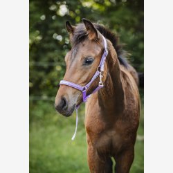 HG Malva f�lgrime - Lavender