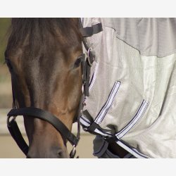 QHP Insektdkken Combo med hals