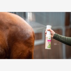 Bense &amp; Eicke Heste Deo Superfresh