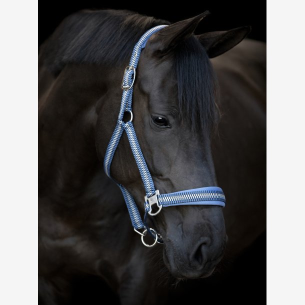 HG Cole Grime - Navy