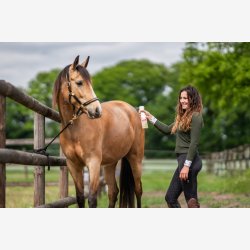 Bense &amp; Eicke Heste Deo Superfresh