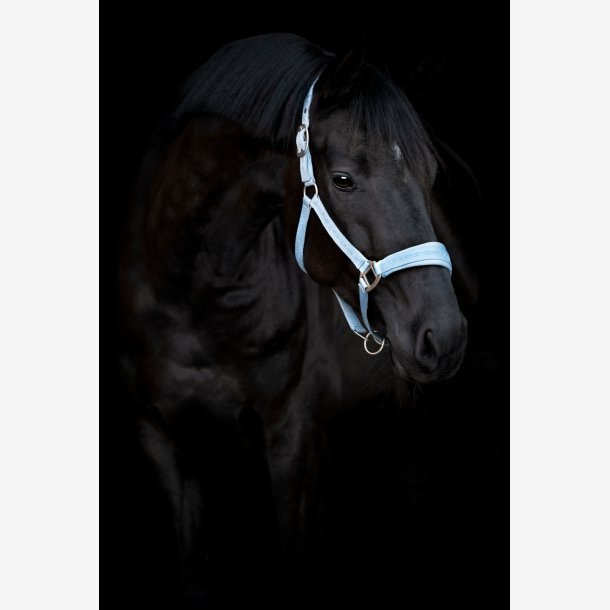 HG Diya 2.0 Grime - Blue Fog