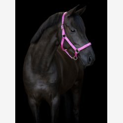 HG Malva grime - Phlox Pink