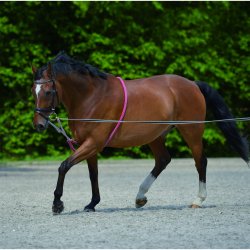 Waldhausen Soft Longeringshjlp - Sort