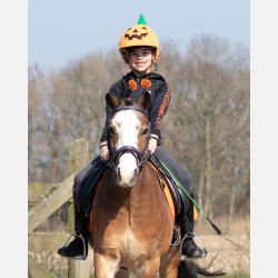 QHP Hjelmovertrk - Grskar