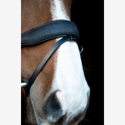 HG Cryll 24.2 trense komb. NB m/tilbagetrk - Sort