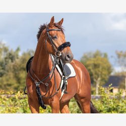 QHP Trense beskytter - sort