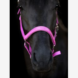 HG Malva grime - Phlox Pink