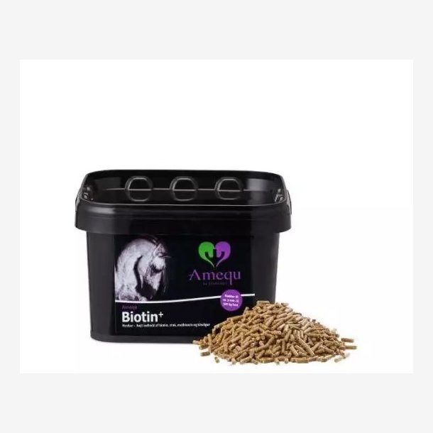 Amequ Biotin+
