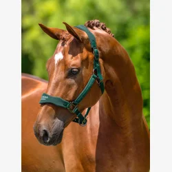 Equestrian Stockholm Anatomisk Fleece grime - Sycamore Green