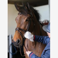 CDM Belvoir Tack Cleaning Mitt - pakke m. 10 stk