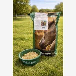 HorsePro Safe Before Work