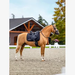 Equestrian Stockholm Dressur Sadelunderlag Line - Sort - FULL