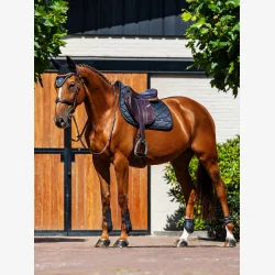 Equestrian Stockholm Spring Sadelunderlag Line - Sort - COB