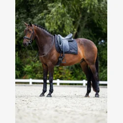 Equestrian Stockholm Dressur Sadelunderlag Line - Sort - FULL