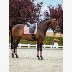 Equestrian Stockholm Brushing Boots - Pink