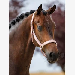 Equestrian Stockholm Line Grime - Pink