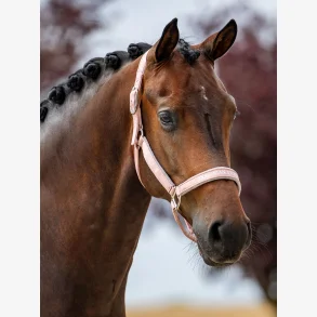 Equestrian Stockholm Line Grime - Pink
