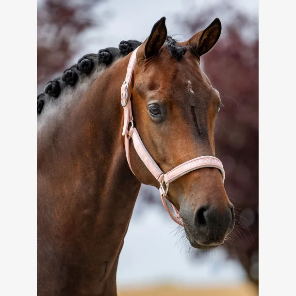 Equestrian Stockholm Line Grime - Pink