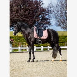 Equestrian Stockholm Dressur Sadelunderlag Line - Pink - FULL