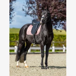 Equestrian Stockholm Dressur Sadelunderlag Line - Pink - FULL