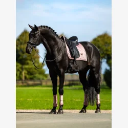 Equestrian Stockholm Dressur Sadelunderlag - Modern Midsummer Blush - FULL