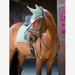 ES Hut - Modern Mint Green