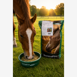 HorsePro Safe Before Work