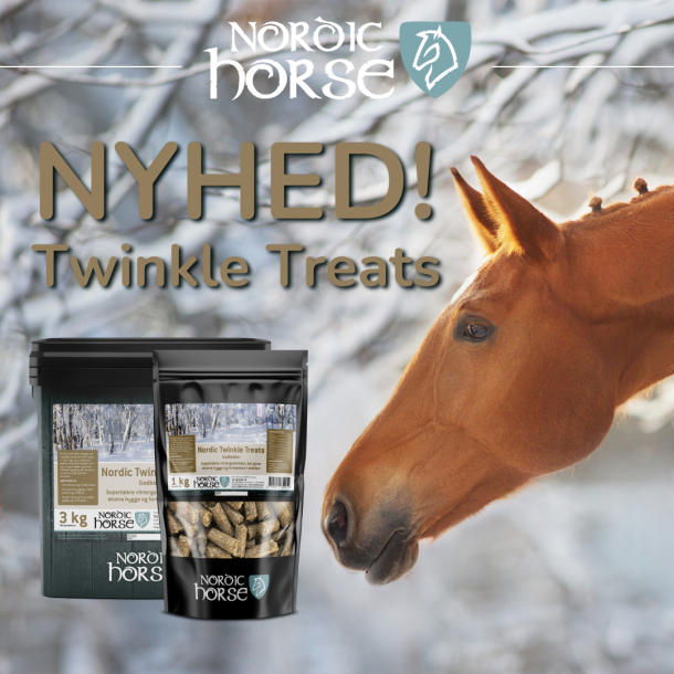 Nordic Twinkle Treats