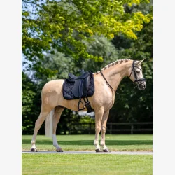 Equestrian Stockholm Dressur Sadelunderlag - Velvet - Sort
