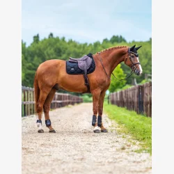 Equestrian Stockholm Spring Sadelunderlag - Velvet - Sort