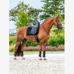 Equestrian Stockholm Dressur Sadelunderlag - Velvet - Sort