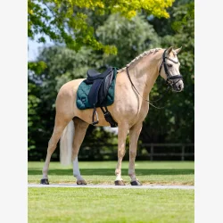 Equestrian Stockholm Dressur Sadelunderlag - Velvet - Sycamore Green