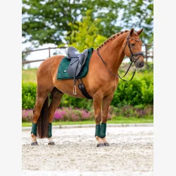 Equestrian Stockholm Dressur Sadelunderlag - Velvet - Sycamore Green
