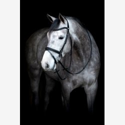 HG Emi 24.2 m. kombineret NB - Sort