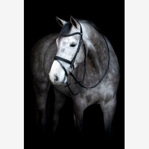 HG Emi 24.2 m. kombineret NB - Sort