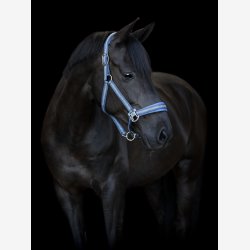 HG Cole Grime - Navy