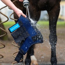 Back on Track Kle gamache