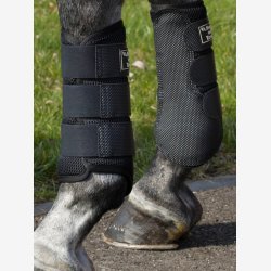 Back on Track 3D Mesh Gamache