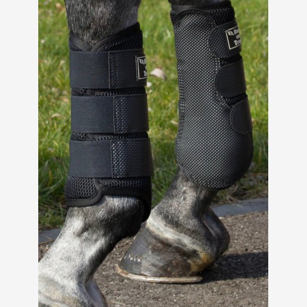 Back on Track 3D Mesh Gamache