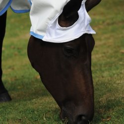 Weatherbeeta Comfitec Sweet Itch Shield Combo neck - White/blue