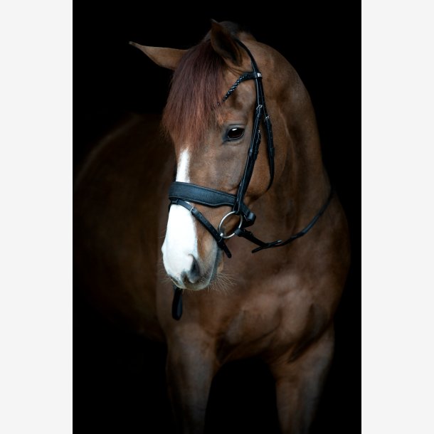 HG Cryll 24.2 trense komb. NB m/tilbagetrk - Sort