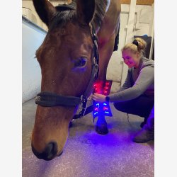 Riislund Light Therapy BLUE - PRO