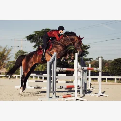 ES Spring Sadelunderlag - Bordeaux - FULL