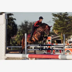 ES Spring Sadelunderlag - Bordeaux - FULL