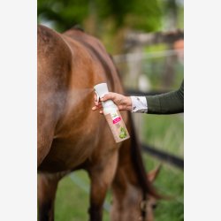 Bense &amp; Eicke Heste Deo Superfresh