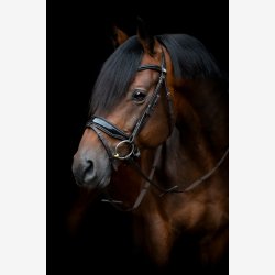 HG Cryll 24.1 trense komb.NB m/tilbagetrk - Brun