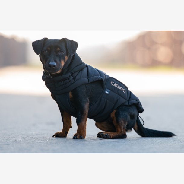 Catago Fir-Tech Puffer Hunded�kken