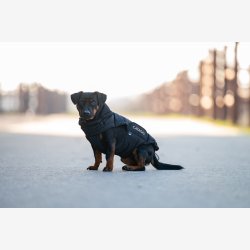 Catago Fir-Tech Puffer Hundedkken